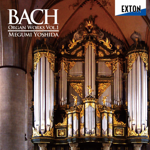 小鸟酱挑战36厘米尾巴视频大全
